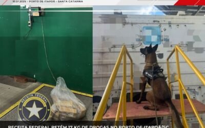 OEA Notícias: Receita Federal retém 17 kg de cocaína no Porto de Itapoá/SC