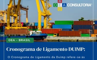 OEA Brasil – Cronograma de Ligamento DUIMP