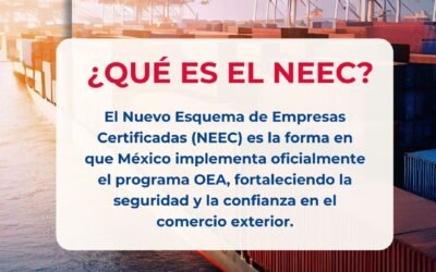 OEA México: Qué es el NEEC?